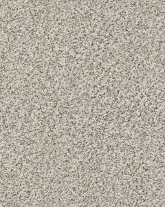 Ridgeway Walk Textured Nylon Carpet