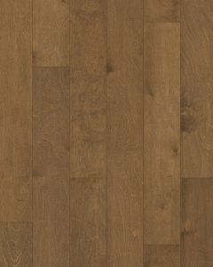 St. Petersburg Parasail 5