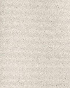 Peaceful Balance Nylon Carpet