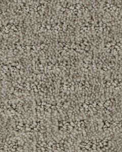 Stylish Attraction Patterned EverStrand Carpet