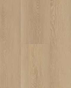 Cali Windansea High Tide Sunset Swell Vinyl