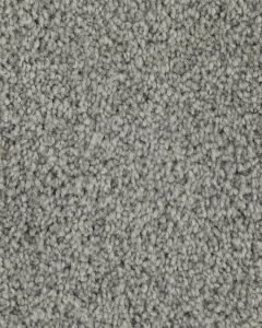 Superior Selection Textured SmartStrand Carpet