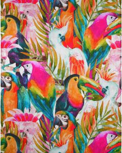 Tropics TC5 Confetti Area Rug