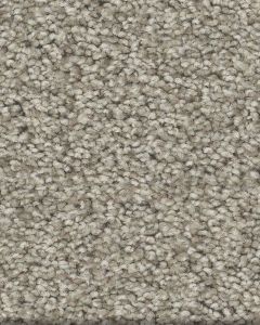 Tonal Comfort I Textured 43oz Nylon Carpet