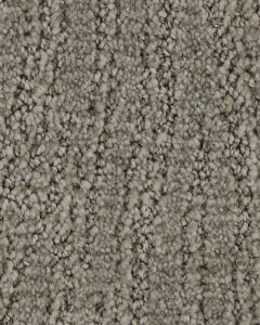 Trendy Charm EverStrand Carpet