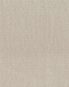 Trendy Nylon 34oz Carpet