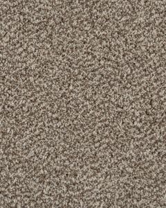 Value 42 Sandy Shore Textured Everstrand 42oz Carpet