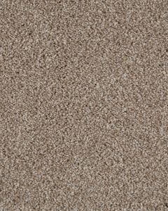 Value 42 Shoreline Textured Everstrand 42oz Carpet