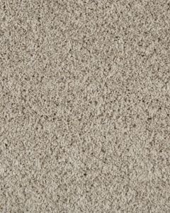 Value 60 Textured Everstrand Polyester 57oz Carpet
