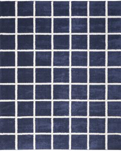 West End Ave WTE01 Navy Ivory Area Rug