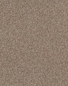 Yes You Can I Textured 43oz Carpet