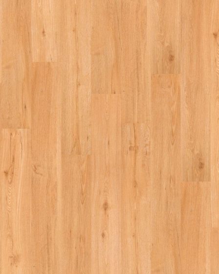 World's Fair 6 II San Francisco Luxury Vinyl