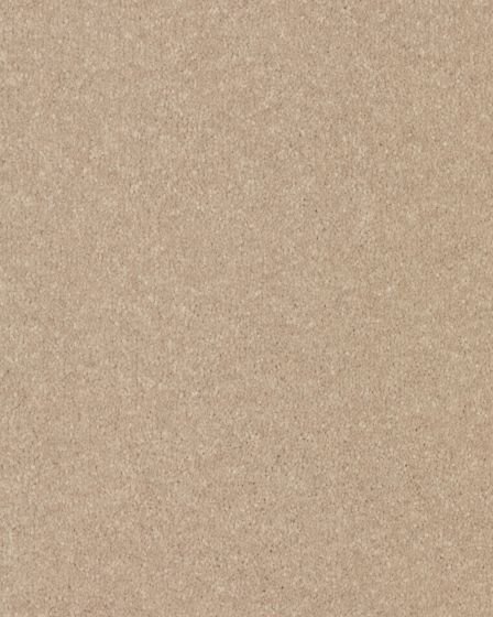 Quality Life Textured SmartStrand 55oz Carpet