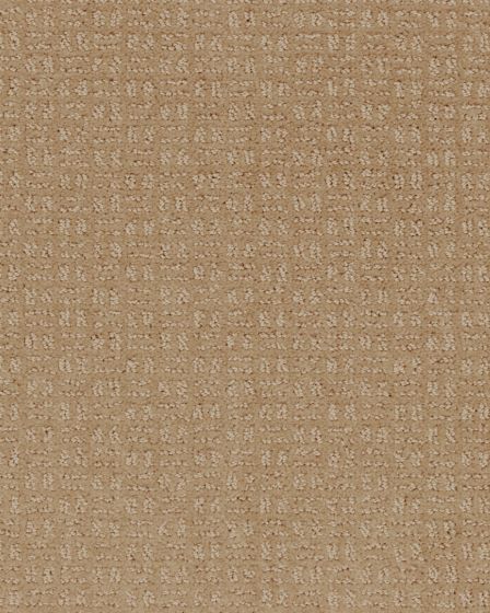 Quality Space SmartStrand 40oz Carpet