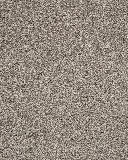 Luxuriant Space Textured SmartStrand 40oz Carpet