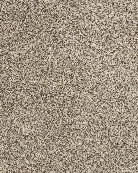 Canine Chic Pet Friendly EverStrand Carpet