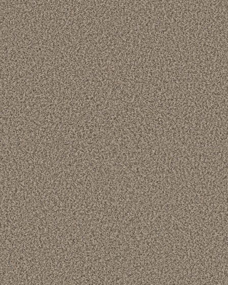 Artistic Fusion I Pet Friendly 43oz Carpet