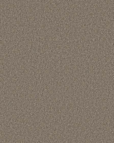 Artistic Fusion II Pet Friendly Carpet