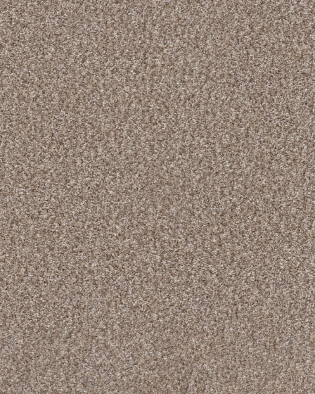 Refined Chic Glacier Textured Carpet