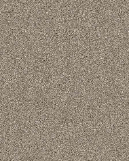 Monumental II 53oz Pet Friendly Textured Carpet