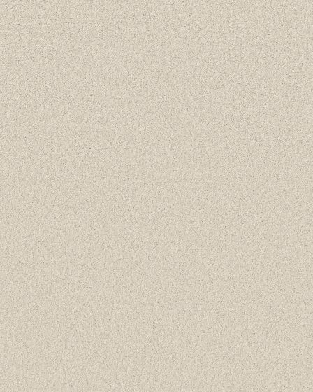 Sincere Beauty II 68oz Pet Friendly Textured Carpet