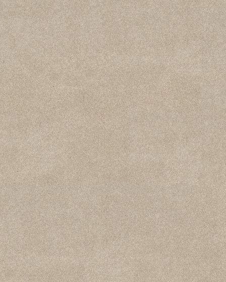 Thoughtful Beauty II 68oz Pet Perfect Textured Carpet