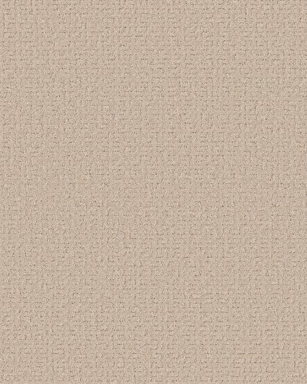 Peaceful Journey 48oz Pet Friendly Patterned Carpet