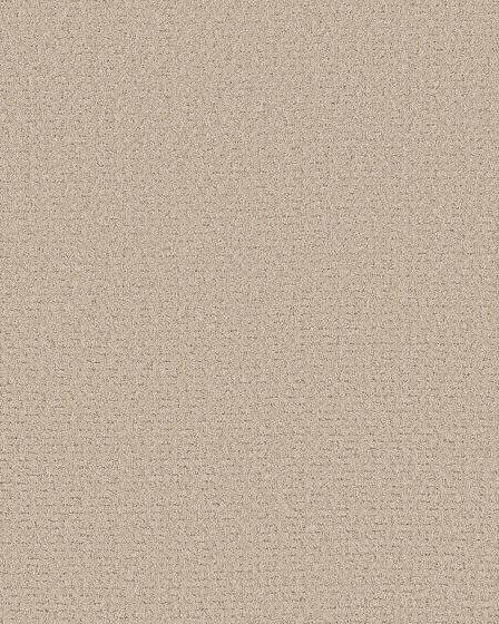 Peaceful Journey Cafe Latte 48oz Pet Friendly Patterned Carpet