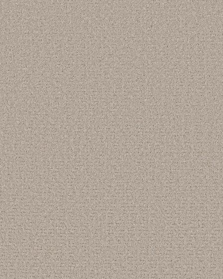 Peaceful Journey Chic Taupe 48oz Pet Friendly Patterned Carpet