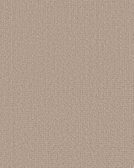 Peaceful Journey Baja 48oz Pet Friendly Patterned Carpet