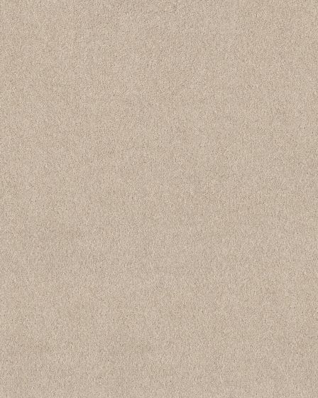 Pawsitive T Pet Friendly Textured 40oz Carpet