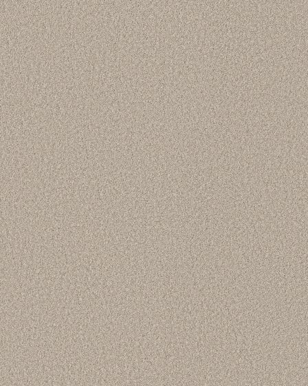 Pawsitive T Beige Mist Pet Friendly Textured 40oz Carpet