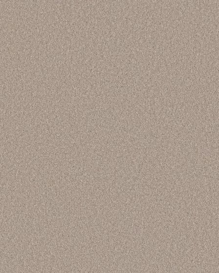 Pawsitive T Chic Taupe Pet Friendly Textured 40oz Carpet