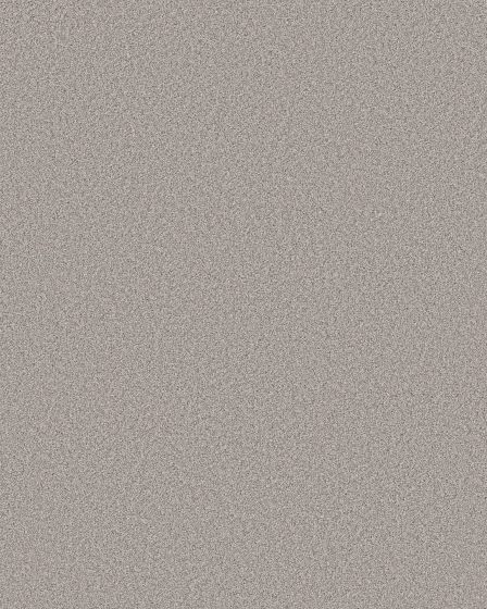 Pawsitive T Four Winds Pet Friendly Textured 40oz Carpet