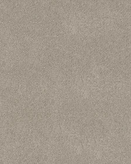 Pawsitive T Marble Pet Friendly Textured 40oz Carpet