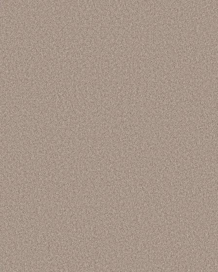 Pawsitive T Baja Pet Friendly Textured 40oz Carpet