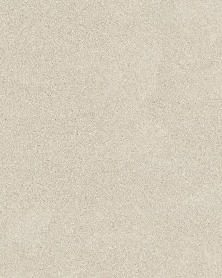 Pawsitive S Pet Friendly Textured 40oz Carpet