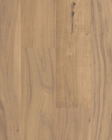 CALI Varientals Clarified Acacia 7.5" Matte Hardwood