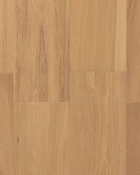 CALI Cellar Vinter Gold 7" White Oak Hardwood