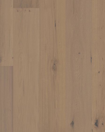 Chateau Oak Parlor 8" Hardwood