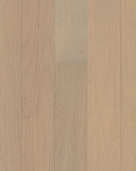 Brasilia Argan 7.5" Brazilian Oak Hardwood