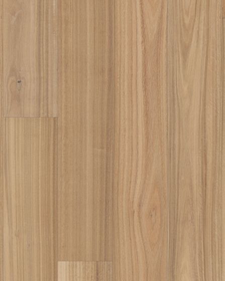 Valencia Walnut Alabaster European Walnut 7" Hardwood