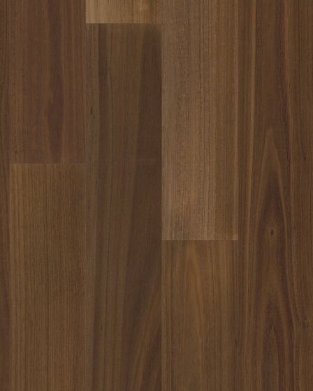Valencia Walnut Raw Umber European Walnut 7" Hardwood