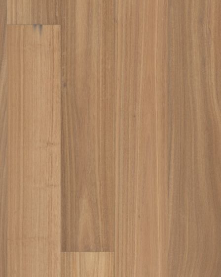 Valencia Walnut Tahini European Walnut 7" Hardwood