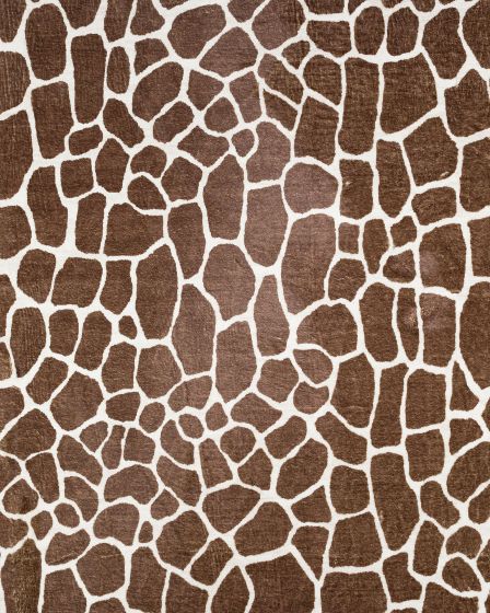 Akina AK4 Chocolate Area Rug