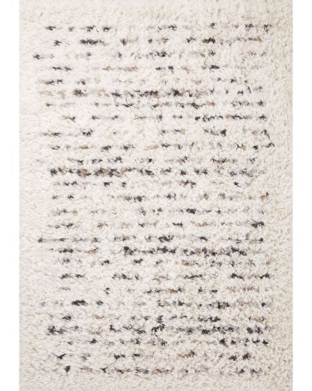 Amira AMI-03 Ivory/Multi Area Rug