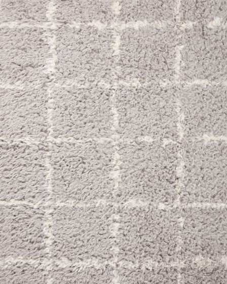 Amira AMI-04 Silver/Ivory Area Rug