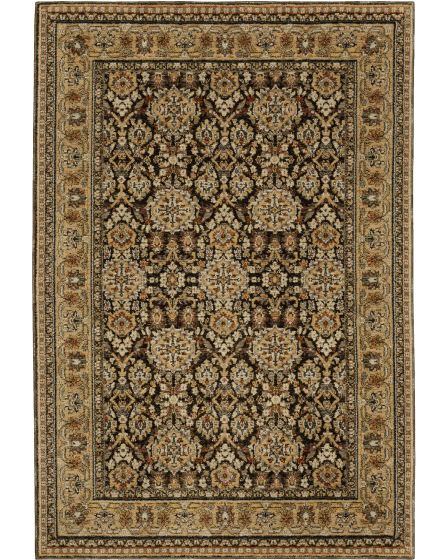 Andorra 2431a Brown/Gold Area Rug