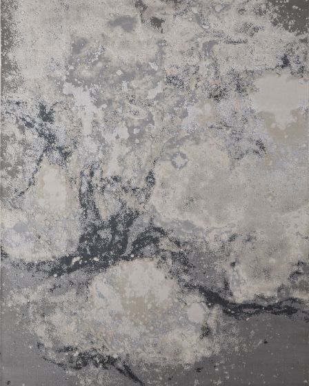 Astra 39L3F Gray/Ivory Area Rug