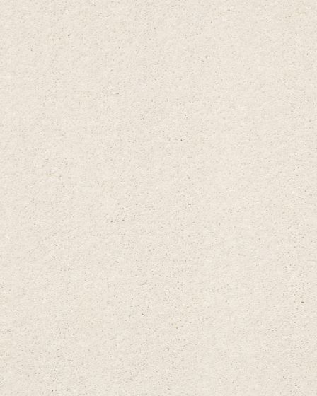 Basic Rules Oatmeal Carpet